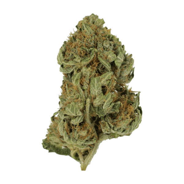 Bubblegum – 1 ounce | Just Cannabis Canada