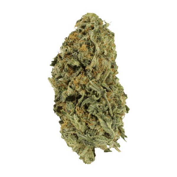 Chocolate Kush – 1 ounce | Just Cannabis Canada