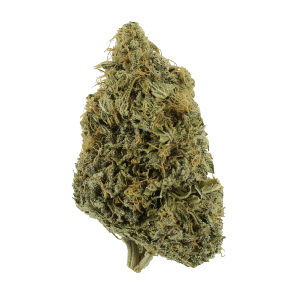 NYC Diesel | Just Cannabis Canada