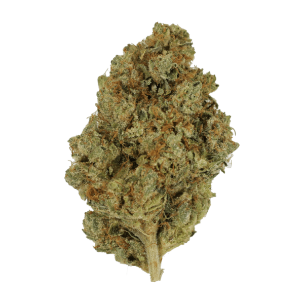 Nepalese | Just Cannabis Canada