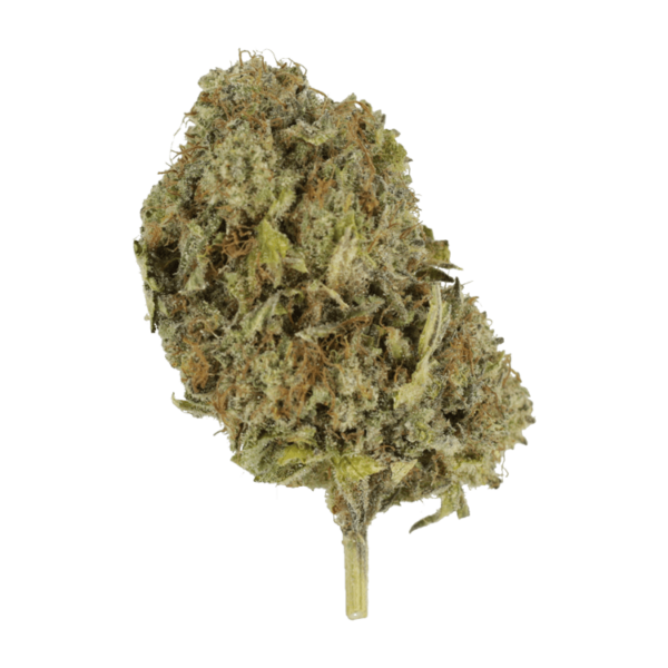 God’s Green Crack | Just Cannabis Canada