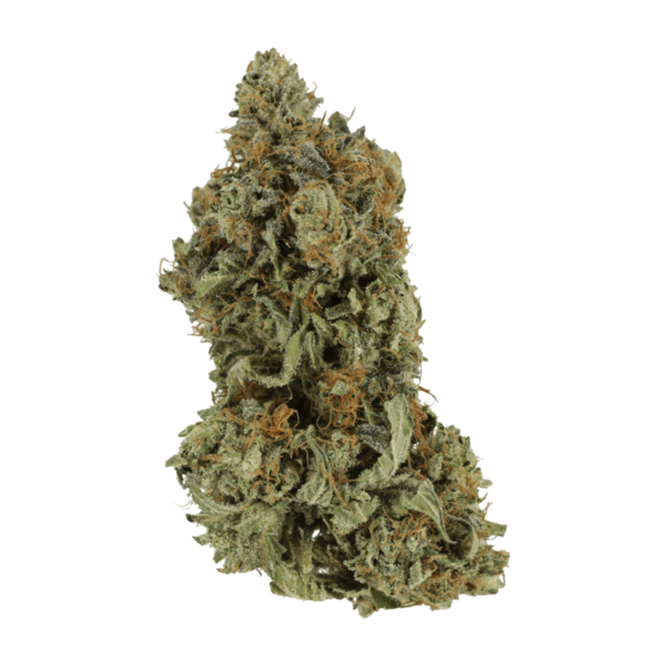 Bruce Banner #3 | Just Cannabis Canada