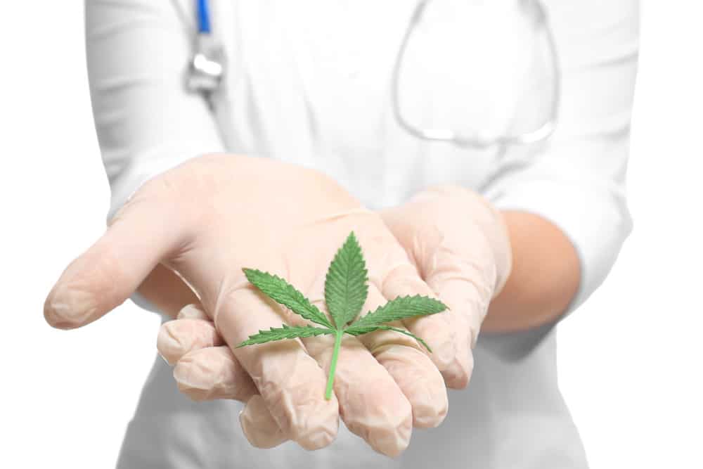 Cannabis as a natural cure for pain | Just Cannabis Canada