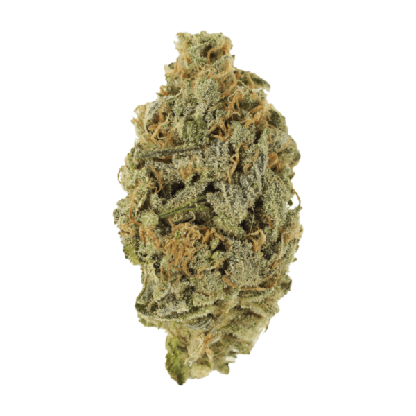 Lavender | Just Cannabis Canada