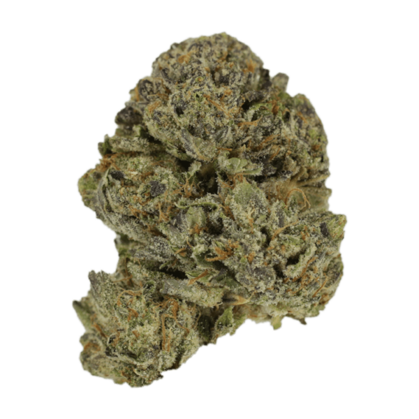Lavender | Just Cannabis Canada