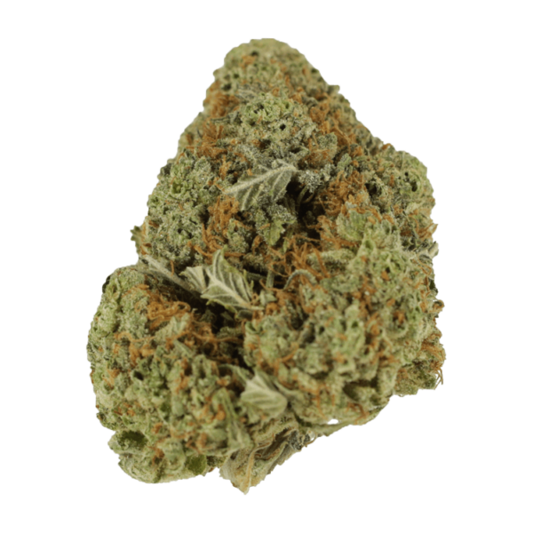 Mataro Blue – 1 ounce | Just Cannabis Canada