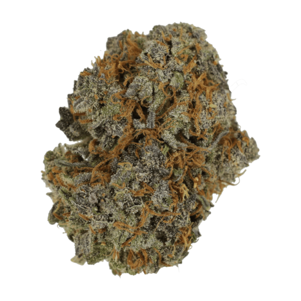 Jack Herer 1 Ounce | Just Cannabis Canada