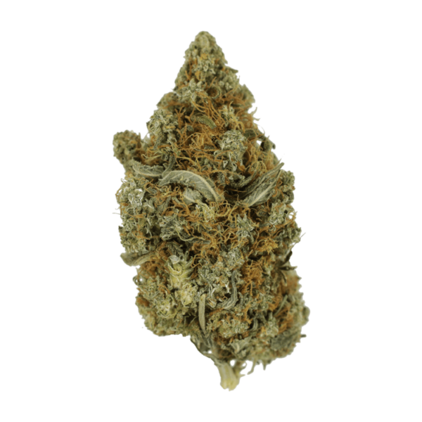 Jack Herer 1 Ounce | Just Cannabis Canada