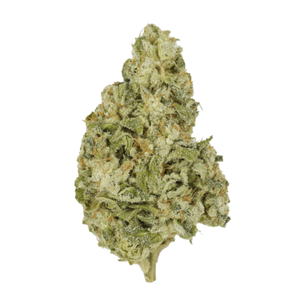 Zombie OG | Just Cannabis Canada