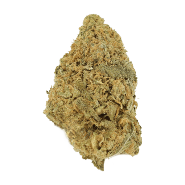 Zombie OG | Just Cannabis Canada