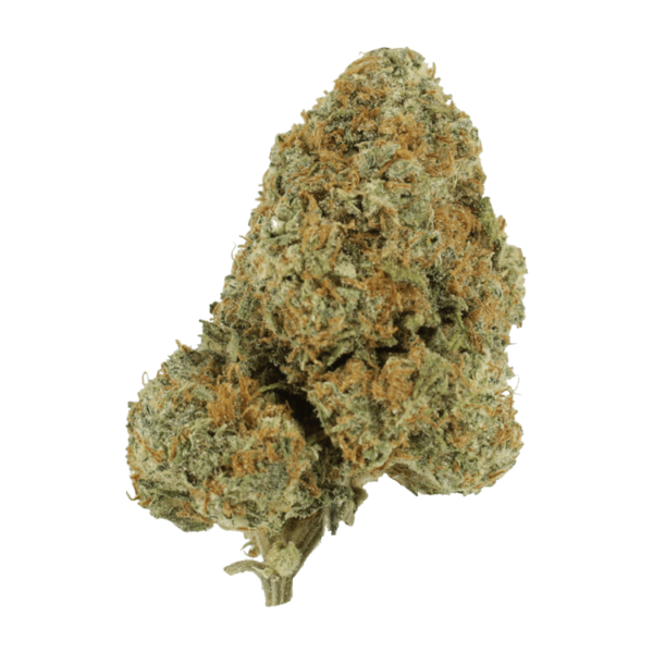 Blue Rhino | Just Cannabis Canada