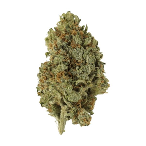 Sugar Cookies | Just Cannabis Canada