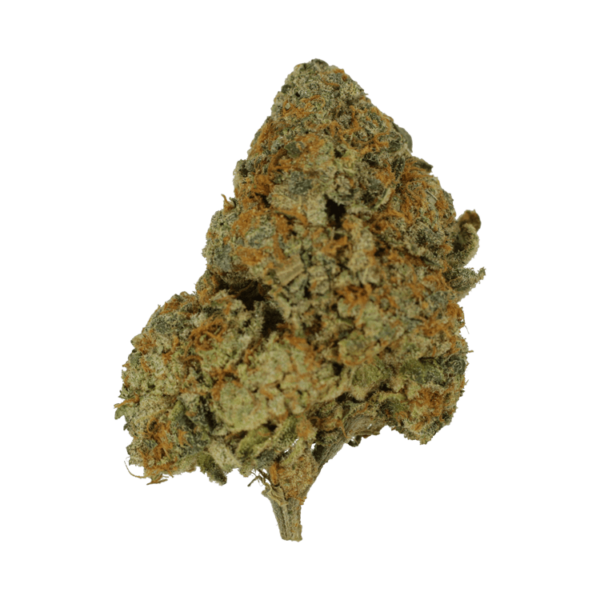 9lb Hammer | Just Cannabis Canada