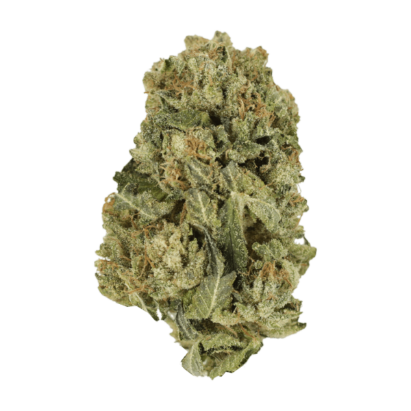 Black Domina | Just Cannabis Canada