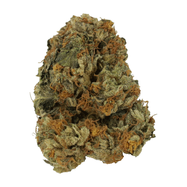 Dolato – 1OZ | Just Cannabis Canada