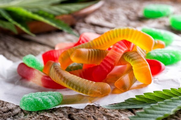 MOTA Edibles Bundles – SAVE 10% | Just Cannabis Canada