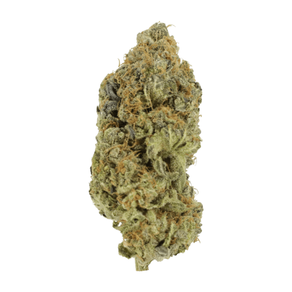 Critical Widow | Just Cannabis Canada