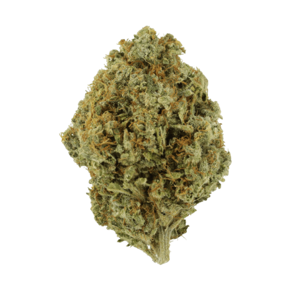 Orange Barb | Just Cannabis Canada