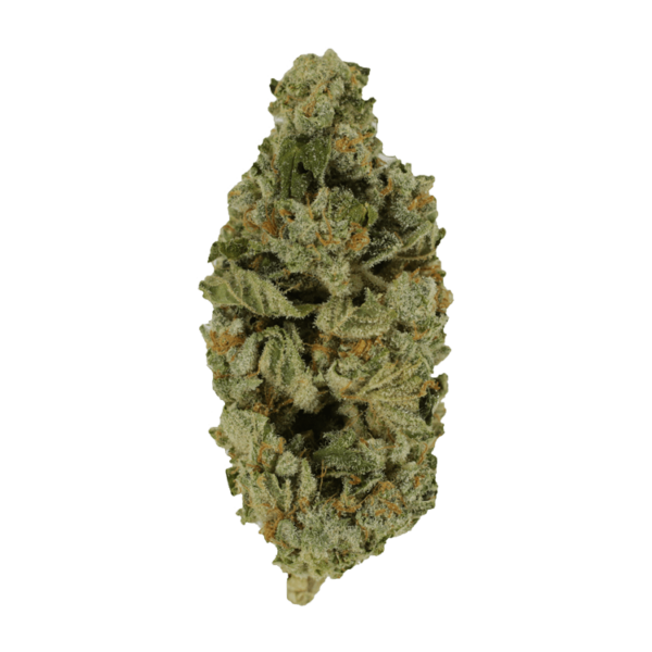 Crazy Glue | Just Cannabis Canada
