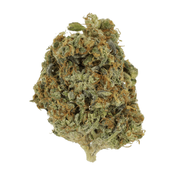 Sunset Sherbert | Just Cannabis Canada