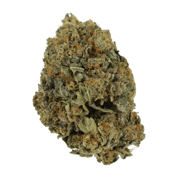 White Shark – 1 ounce | Just Cannabis Canada