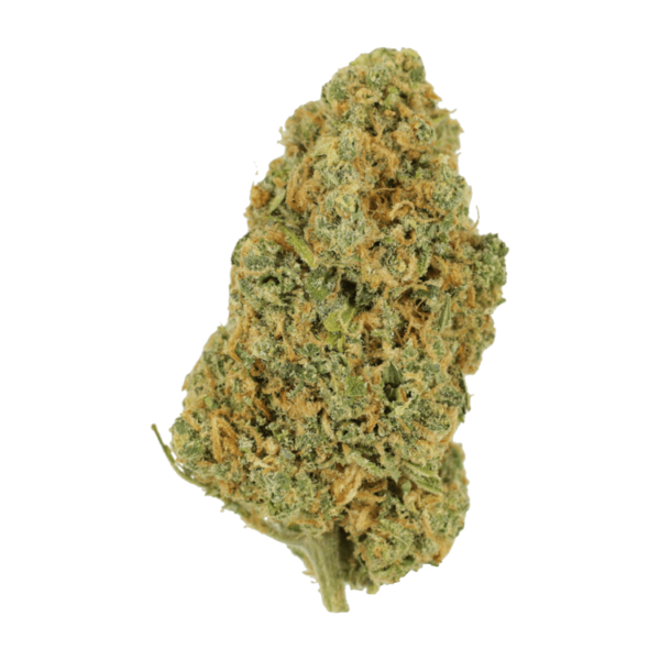 Lemon Bomb | Just Cannabis Canada