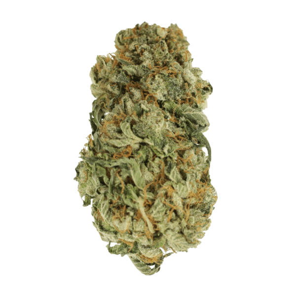 King Louis – 1 ounce | Just Cannabis Canada