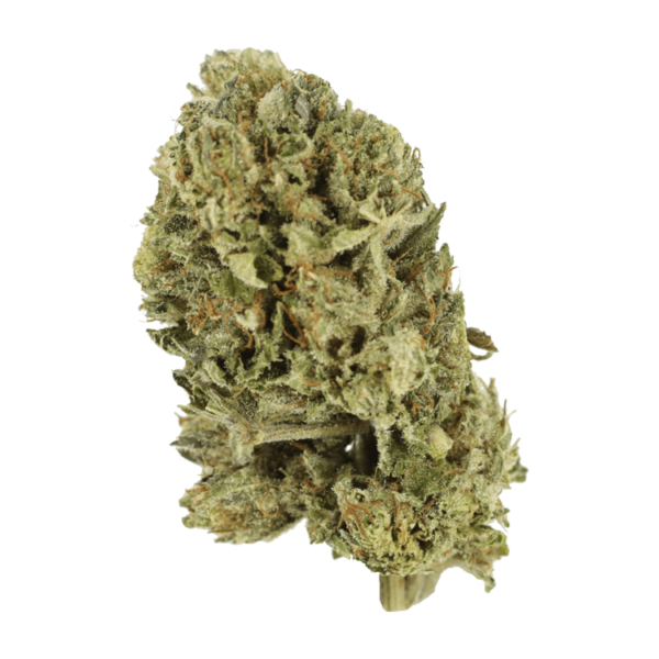 Purple OG Kush – 1 ounce | Just Cannabis Canada