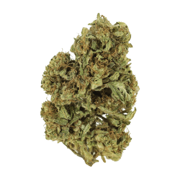 Cherry Wine (CBD) | Just Cannabis Canada
