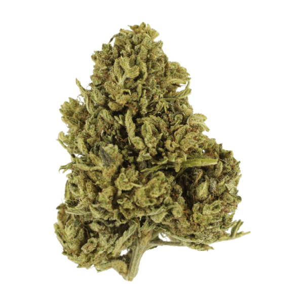 Cherry Wine (CBD) | Just Cannabis Canada