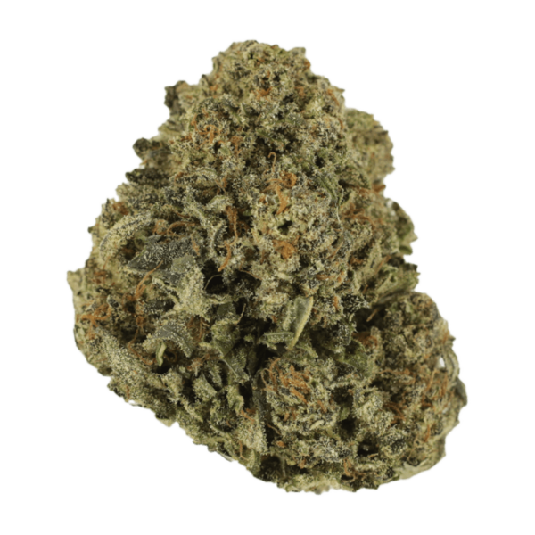 Blue Haze | Just Cannabis Canada