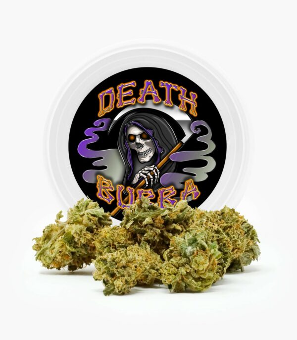 Westcoast Cali Tins – Premium Flower – Skywalker OG – 3.5g | Just Cannabis Canada