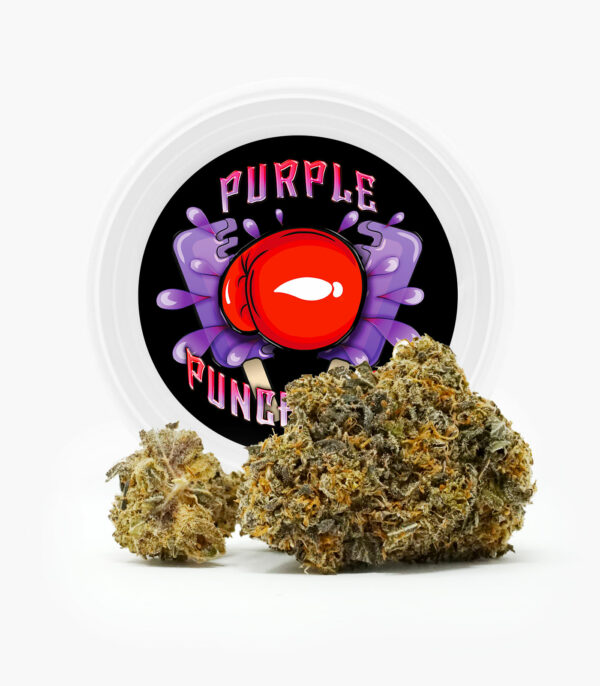 Westcoast Cali Tins – Premium Flower – Purple Punchsicle – 14g | Just Cannabis Canada