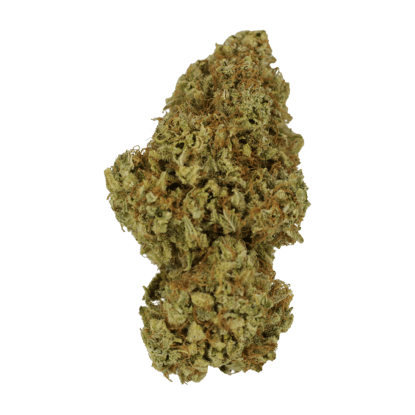 Sour Amnesia | Just Cannabis Canada