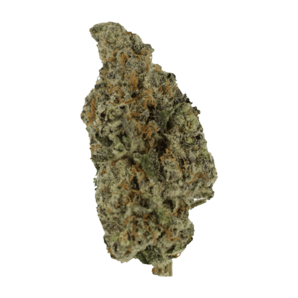 Biscotti Sundae | Just Cannabis Canada