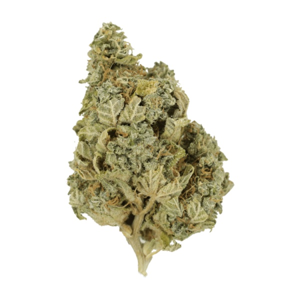 Khalifa Kush | Just Cannabis Canada