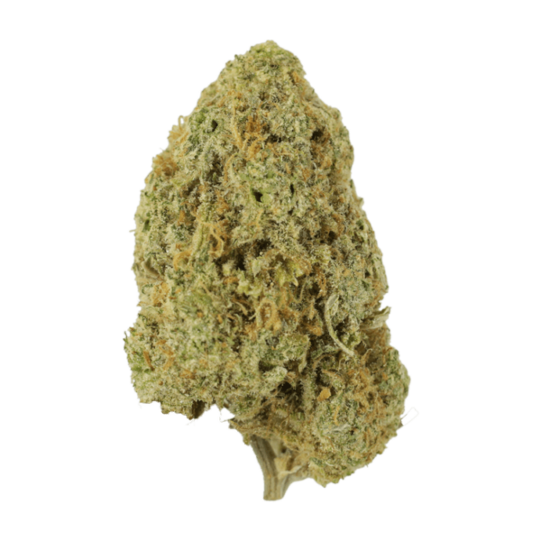 Sugar Pine | Just Cannabis Canada