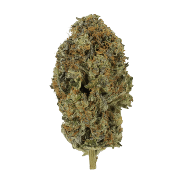 Acapulco Gold | Just Cannabis Canada