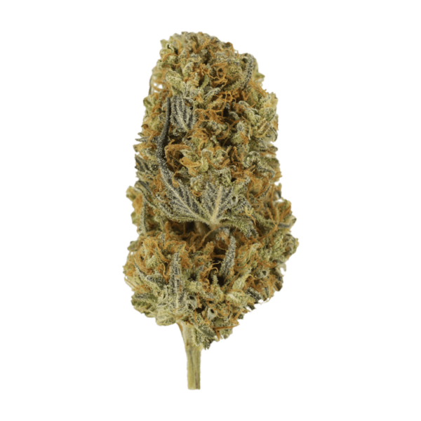 Headband | Just Cannabis Canada