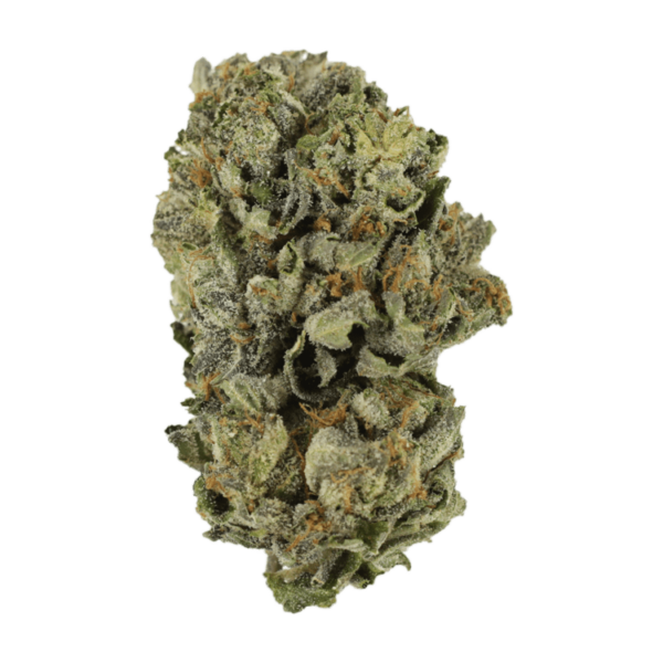 Cerebro Haze | Just Cannabis Canada