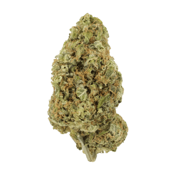 Sour Jack | Just Cannabis Canada
