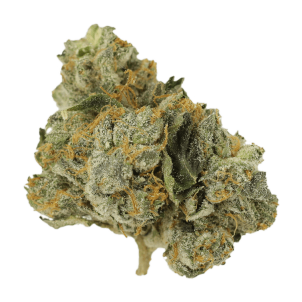 Mango Cream | Just Cannabis Canada