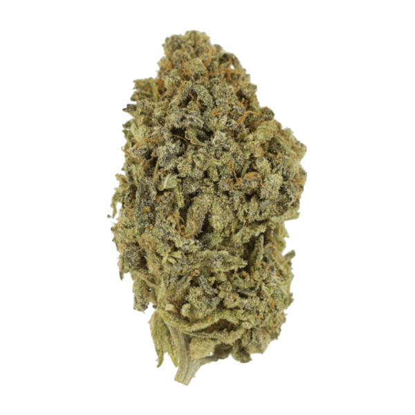 Watermelon Gelato | Just Cannabis Canada