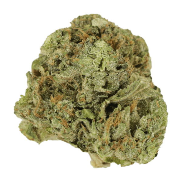 Mango Cream | Just Cannabis Canada