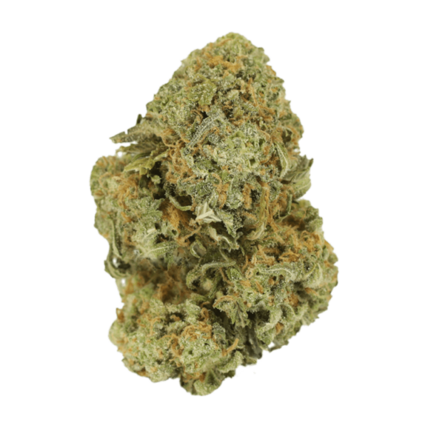 Watermelon Gelato | Just Cannabis Canada