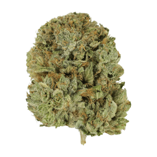 Pink Taco | Just Cannabis Canada
