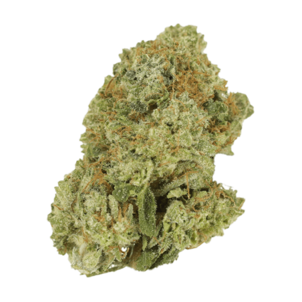 Malawi Gold | Just Cannabis Canada