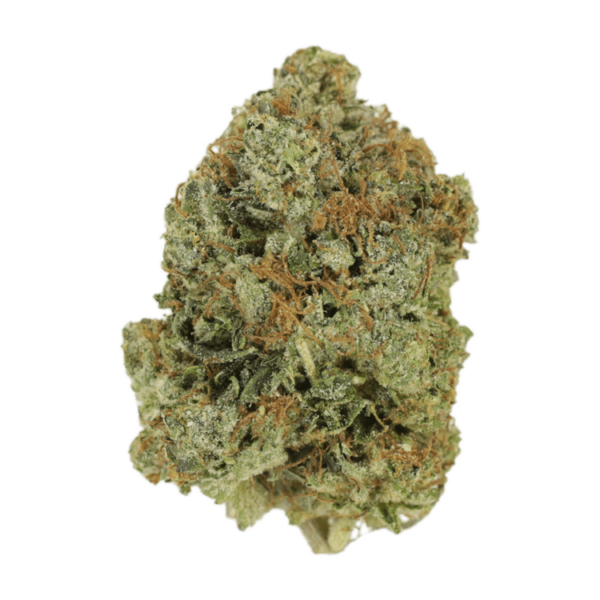 Jack Herer (popcorn) | Just Cannabis Canada
