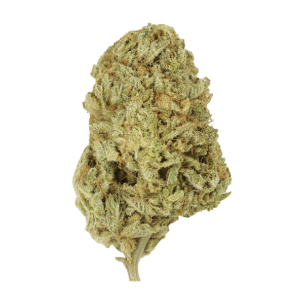 Face Mints | Just Cannabis Canada