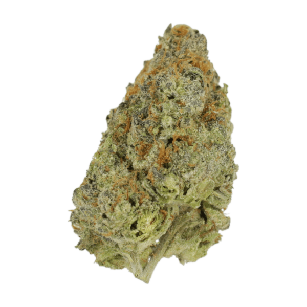 Lilac Diesel | Just Cannabis Canada